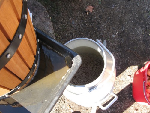 IMG3606.jpg