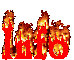 Info.gif