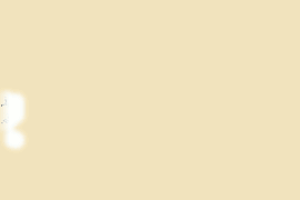 eliortis.gif