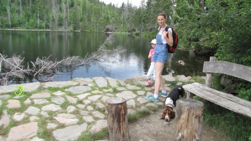 IMG0189.jpg