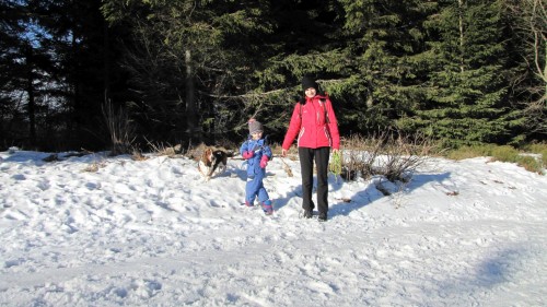 IMG0772.jpg