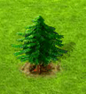 BiribC3A1baum-a.gif
