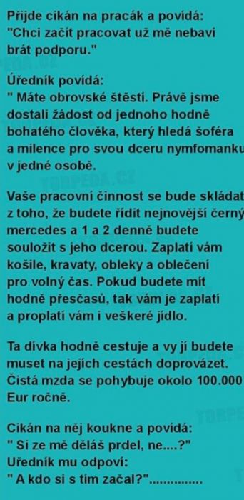pracak.jpg