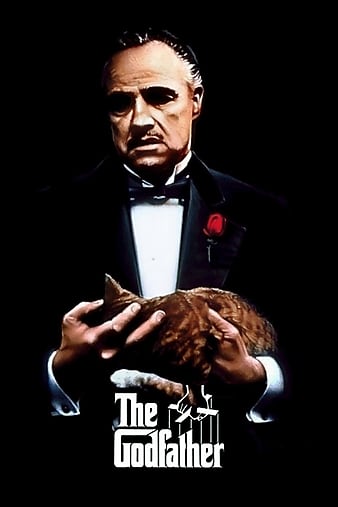 poster_opt0b68a05b8df53c0a.jpg