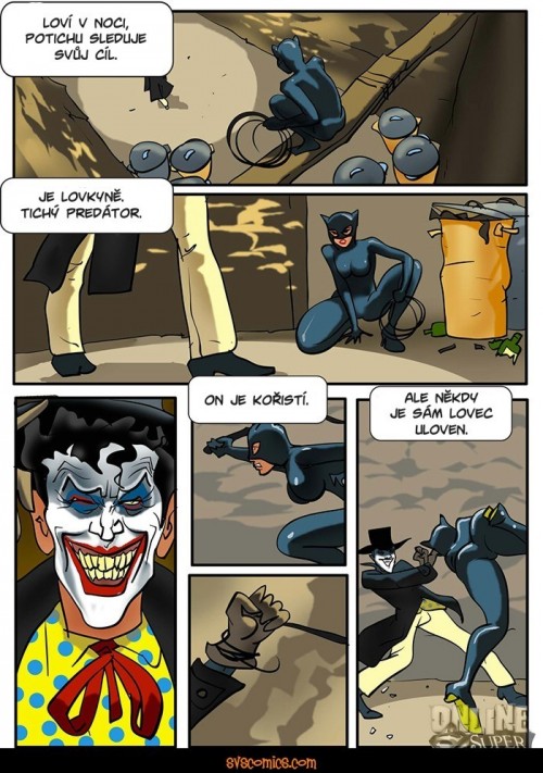Znasilnena.Catwomen.jpg