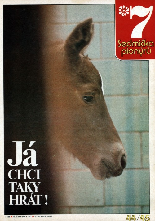 01-43.jpg
