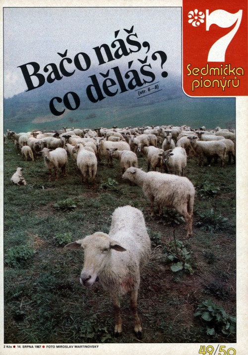 01-46.jpg