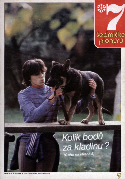 01-8.jpg