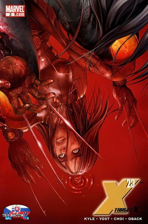 X-23TargetX3-001sk.jpg