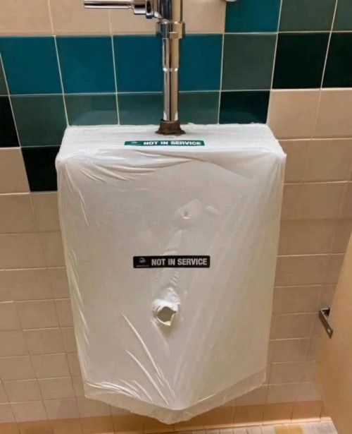 1000052488.jpg