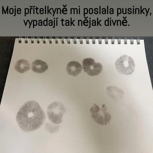 1000052502.jpg