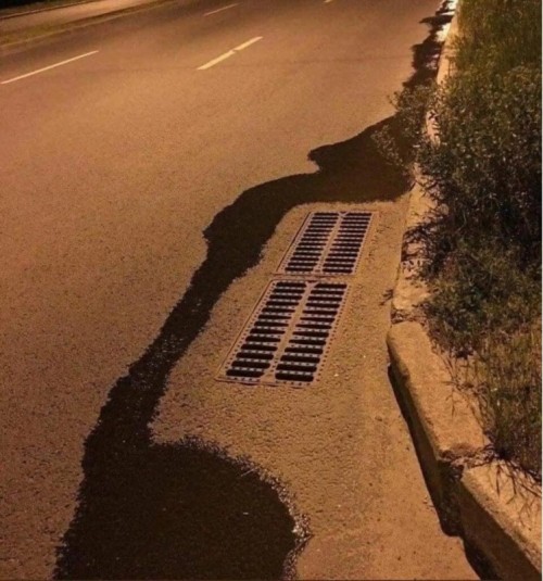1000052846.jpg