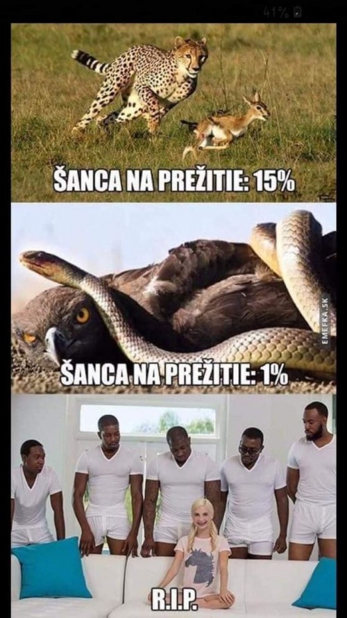 -000-22.jpg