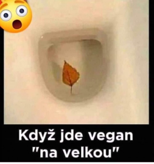 -000-3.jpg