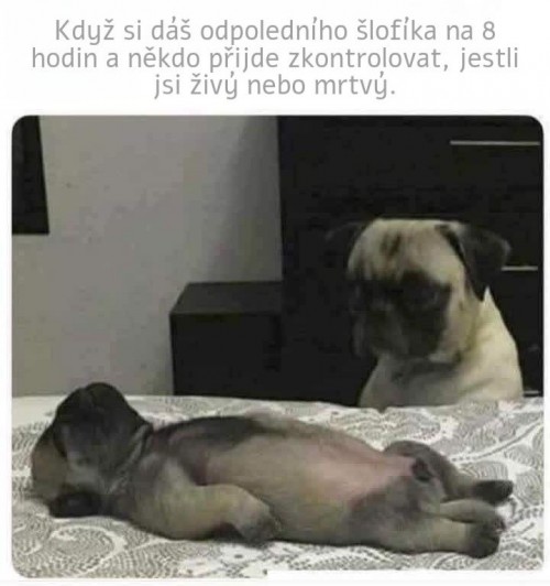 1000073088.jpg