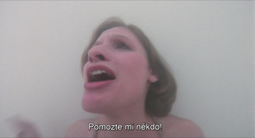 img00002f7e77e4805a2d02c.png