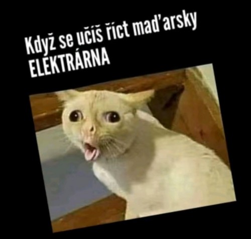 -000-70.jpg