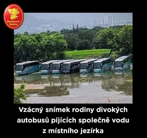 -000-3.jpg
