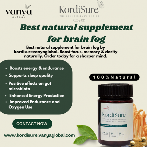 Best-natural-supplement-for-brain-fog.png