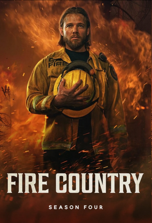 imagenf577c1b11f021d95.png