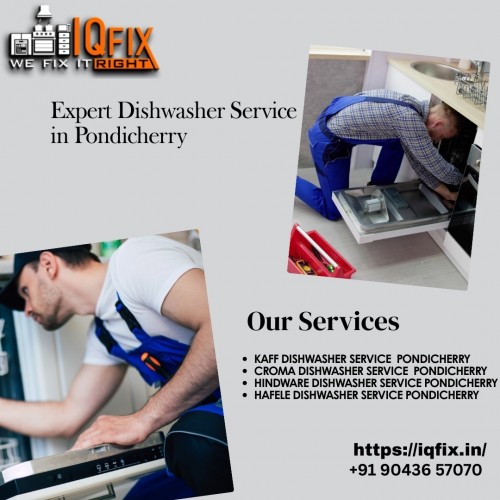 _Expert-Dishwasher-Service-in-Pondicherry.jpg