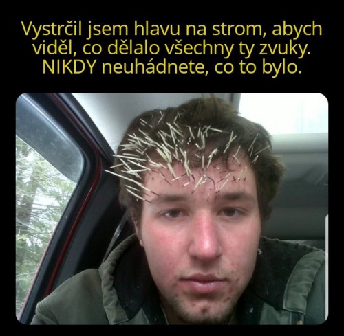 1000074980.jpg