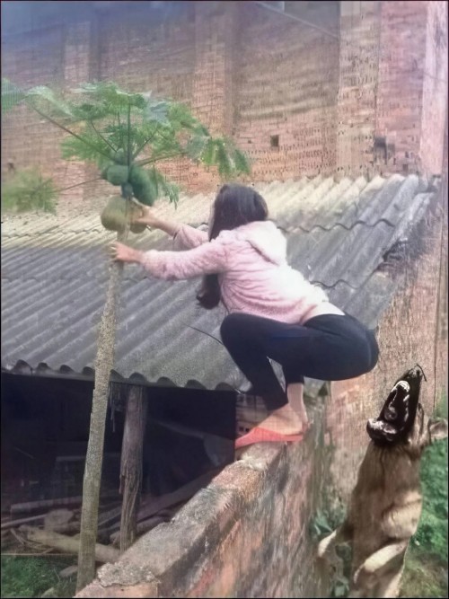 1000075429.jpg