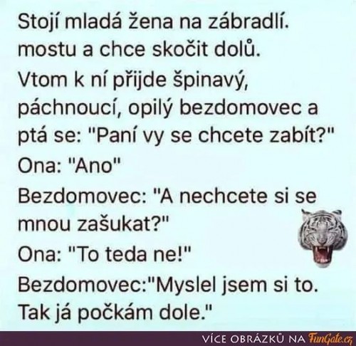 VT5-10.jpg