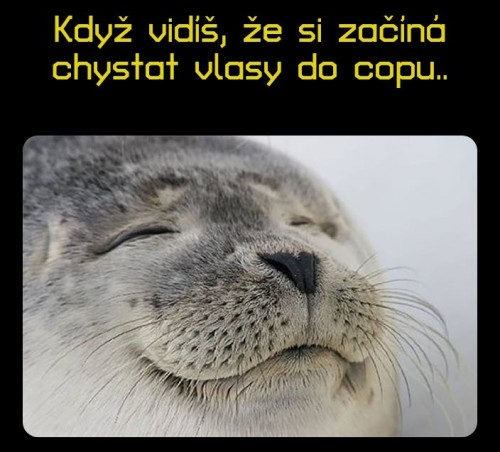 1000075514.jpg
