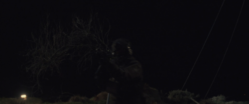 img0000456cd0085a6e3d9c7.png