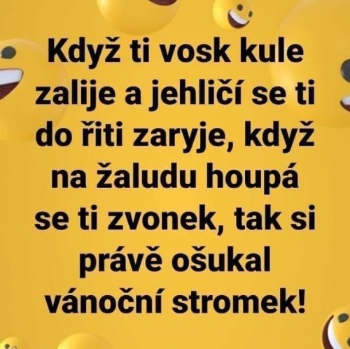 VT5-8.jpg