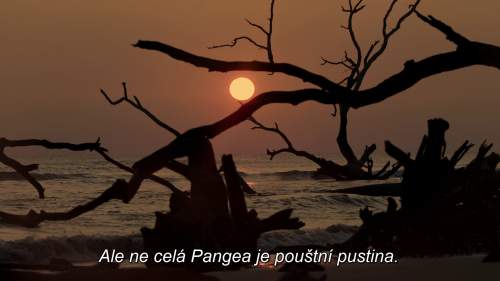 img00003.png