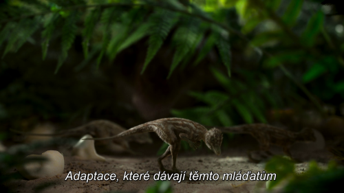 img00004.png