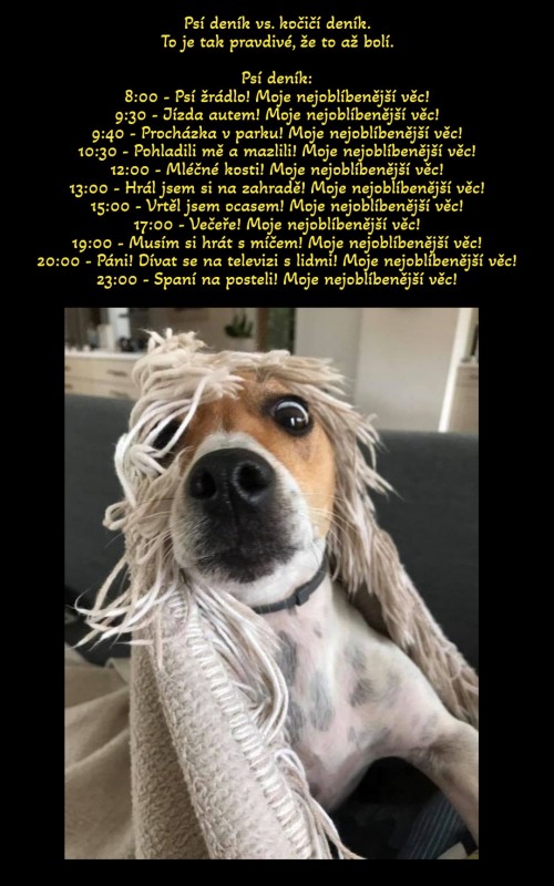 1000076857.jpg