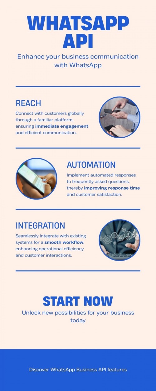 Infographic---WhatsApp-API.jpg
