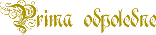 text-1771358751286d.png