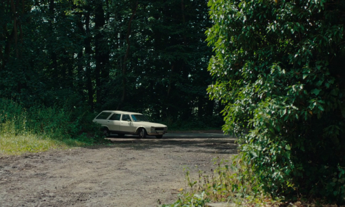 img00005cbc1b3f71990863c.png