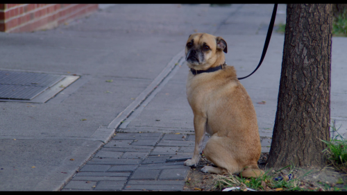 img00003.png