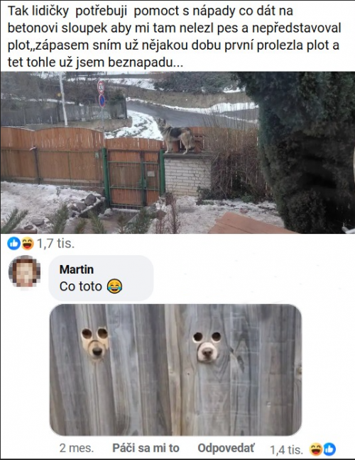 Vyber-1.png