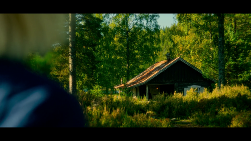 img00005f89aee205d441d0a.png