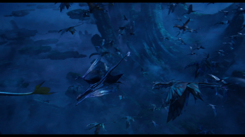 img00006.png