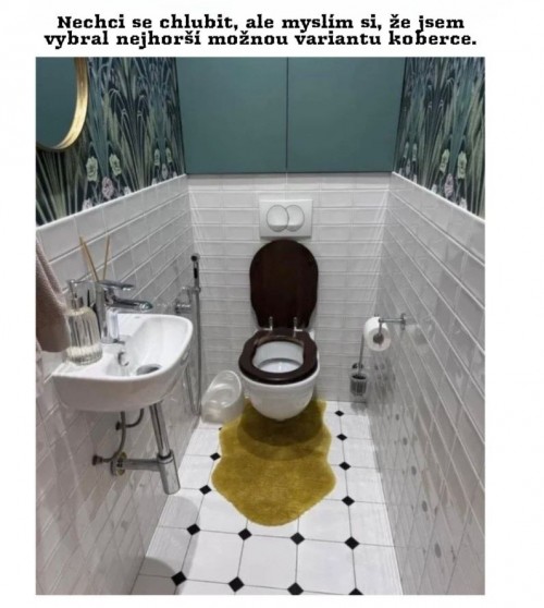 1000079380.jpg