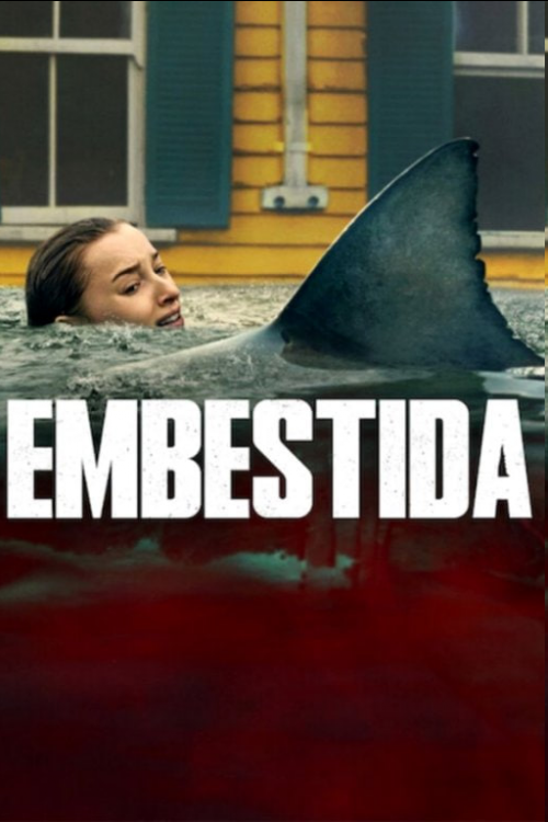 imagen66594295b0b43e74.png