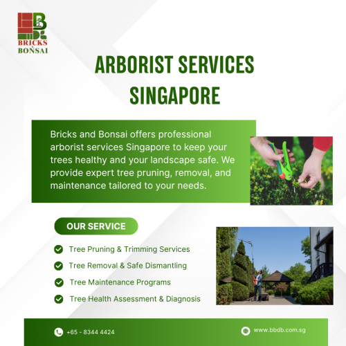 Arborist-services-Singapore.png