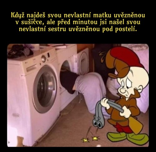 1000082065.jpg