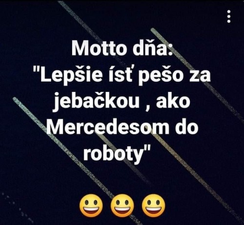 -Vt-Neu-11.jpg