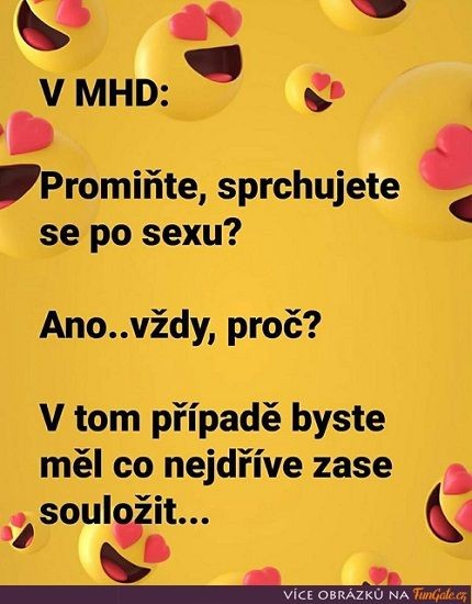 -Vt-Neu-12.jpg
