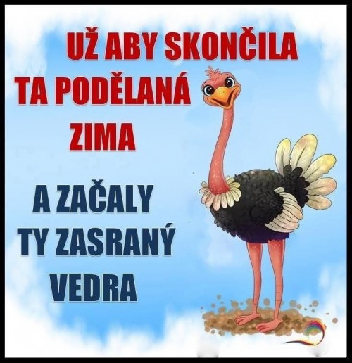 -Vt-Neu-15.jpg