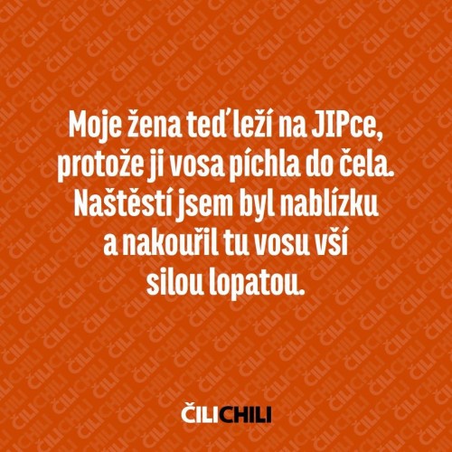 -Vt-Neu-3.jpg