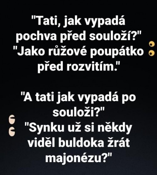 -Vt-Neu-7.jpg
